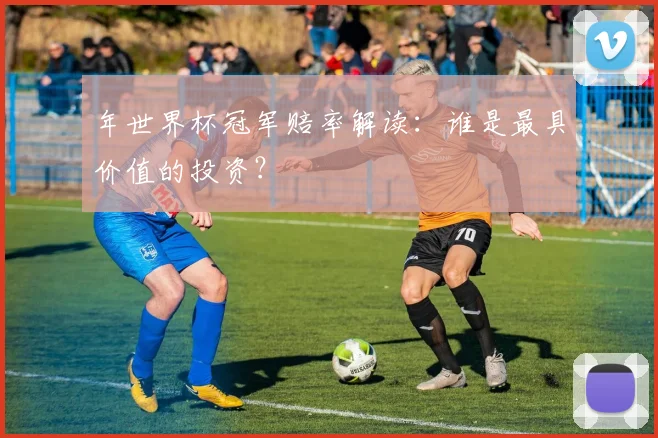 年世界杯冠军赔率解读：谁是最具价值的投资？